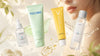 Best Korean Moisturizer Guide for Every Skin Type