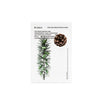 HUE_CALM Pine Bud Brightening Mask